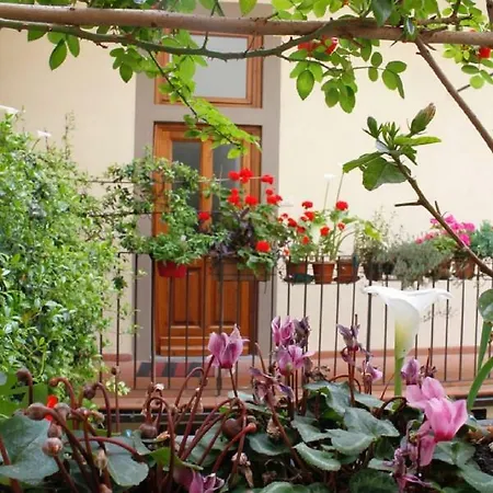 Faenza Novella Florence